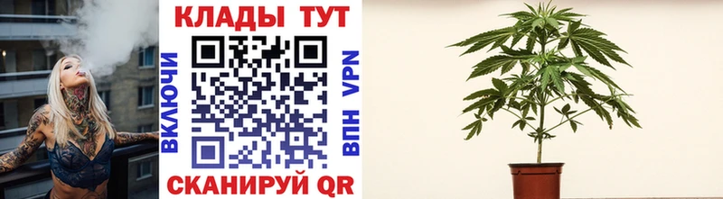 Названия наркотиков Видное Экстази  Галлюциногенные грибы  ГАШ  MEGA как зайти  A-PVP 