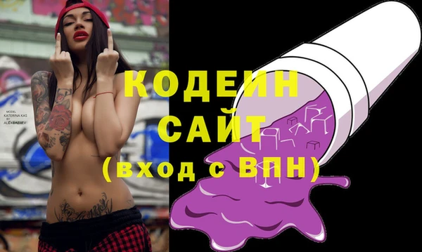 индика Волосово
