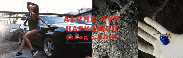 индика Волосово