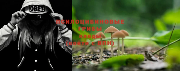 индика Волосово