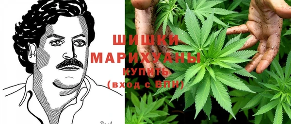 индика Волосово