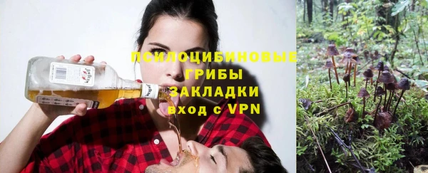 тгк Вяземский