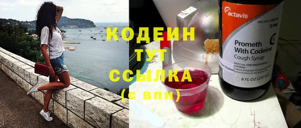 индика Волосово