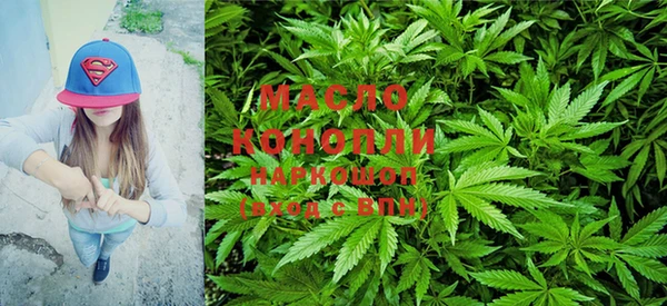 индика Волосово