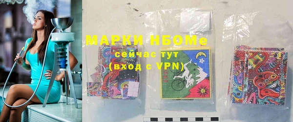 индика Волосово