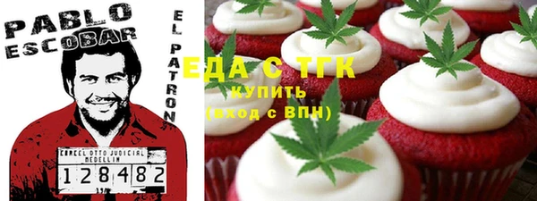 индика Волосово
