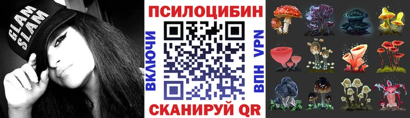 дарнет шоп  Видное  Псилоцибиновые грибы Magic Shrooms 